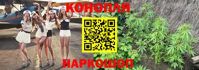 молекула духа Нальчик