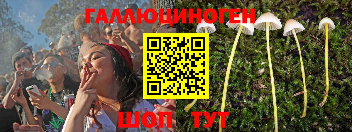 Ахтубинск  Галлюциногенные грибы Magic Shrooms  Галлюциногенные грибы мухоморы  Вход с VPN 